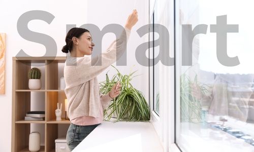 Motorisierte Rollläden